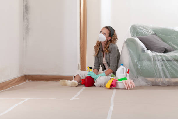 Reliable Mold Remediation contractor in Ebony, VA by 24 Hour Mold Removal